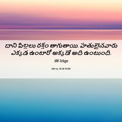 Picture 06 - యోబు 39:30 TELIRV - దాని పిల్లలు - Bible Verse Picture