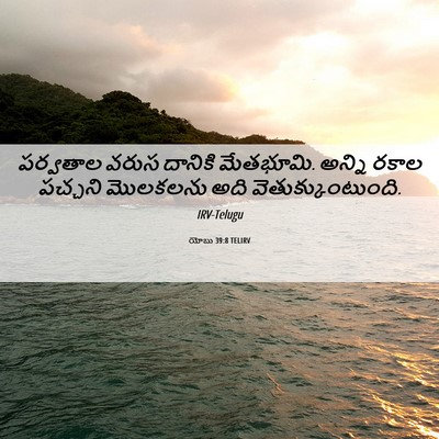 Picture 06 - యోబు 39:8 TELIRV - పర్వతాల వరుస - Bible Verse Picture