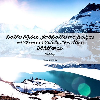 Picture 06 - యోబు 4:10 TELIRV - సింహాల గర్జనలు, - Bible Verse Picture