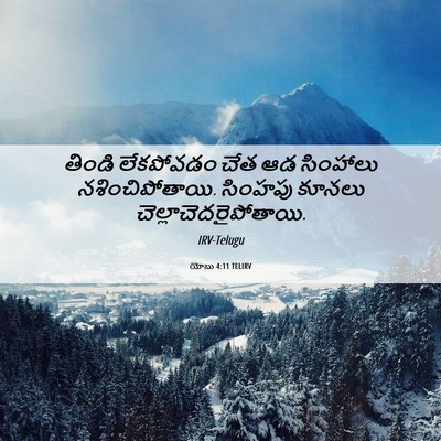 Picture 06 - యోబు 4:11 TELIRV - తిండి లేకపోవడం - Bible Verse Picture