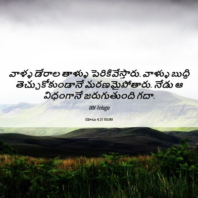 Picture 06 - యోబు 4:21 TELIRV - వాళ్ళ డేరాల - Bible Verse Picture