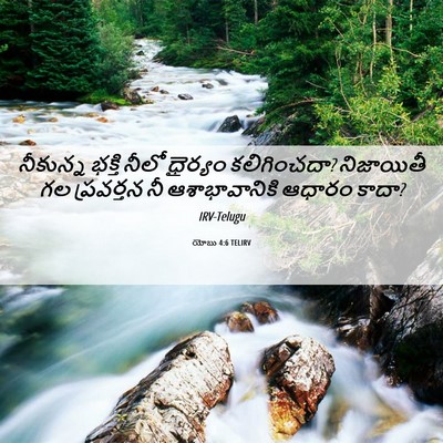 Picture 06 - యోబు 4:6 TELIRV - నీకున్న భక్తి - Bible Verse Picture