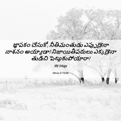 Picture 06 - యోబు 4:7 TELIRV - జ్ఞాపకం చేసుకో, - Bible Verse Picture