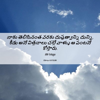Picture 06 - యోబు 4:8 TELIRV - నాకు తెలిసినంత - Bible Verse Picture