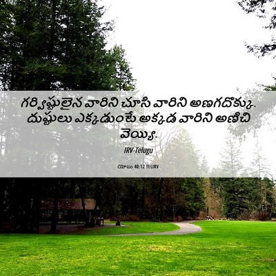 Picture 06 - యోబు 40:12 TELIRV - గర్విష్టులైన - Bible Verse Picture