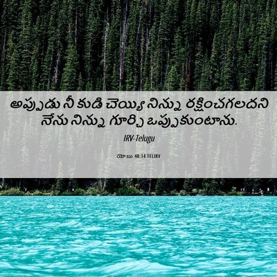 Picture 06 - యోబు 40:14 TELIRV - అప్పుడు నీ కుడి - Bible Verse Picture
