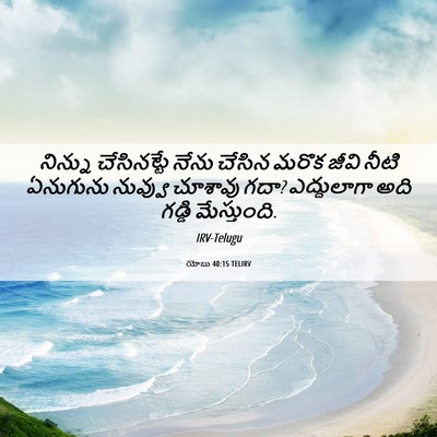 Picture 06 - యోబు 40:15 TELIRV - నిన్ను చేసినట్టే - Bible Verse Picture