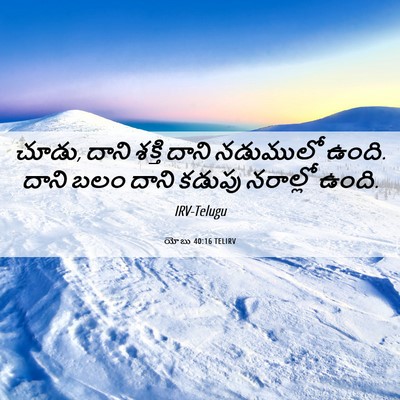 Picture 06 - యోబు 40:16 TELIRV - చూడు, దాని శక్తి - Bible Verse Picture
