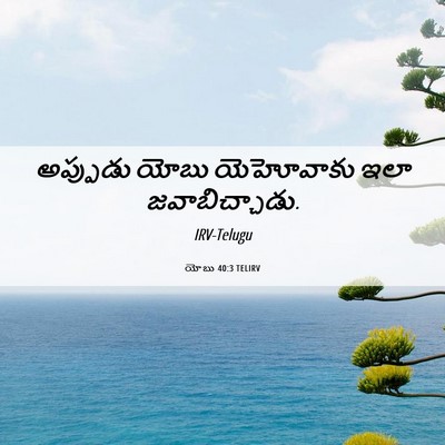 Picture 06 - యోబు 40:3 TELIRV - అప్పుడు యోబు - Bible Verse Picture