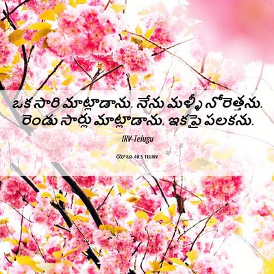 Picture 06 - యోబు 40:5 TELIRV - ఒక సారి - Bible Verse Picture