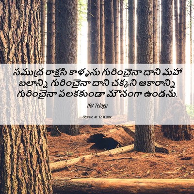 Picture 06 - యోబు 41:12 TELIRV - సముద్ర రాక్షసి - Bible Verse Picture
