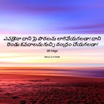 Picture 06 - యోబు 41:13 TELIRV - ఎవడైనా దాని పై - Bible Verse Picture