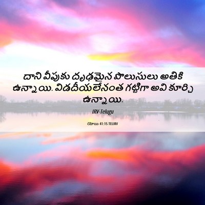 Picture 06 - యోబు 41:15 TELIRV - దాని వీపుకు - Bible Verse Picture