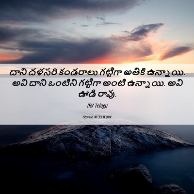 Picture 06 - యోబు 41:23 TELIRV - దాని దళసరి - Bible Verse Picture