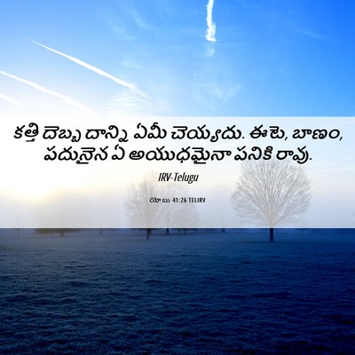 Picture 06 - యోబు 41:26 TELIRV - కత్తి దెబ్బ - Bible Verse Picture