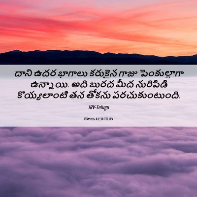 Picture 06 - యోబు 41:30 TELIRV - దాని ఉదర భాగాలు - Bible Verse Picture