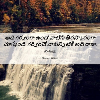 Picture 06 - యోబు 41:34 TELIRV - అది గర్వంగా ఉండే - Bible Verse Picture