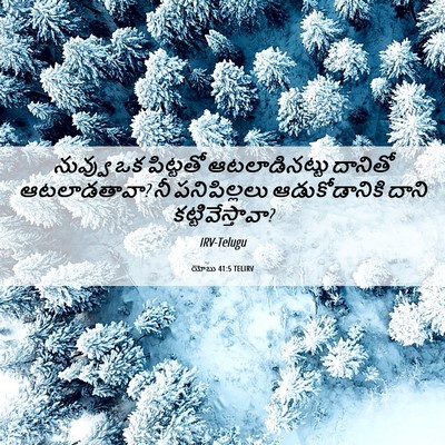 Picture 06 - యోబు 41:5 TELIRV - నువ్వు ఒక పిట్టతో - Bible Verse Picture