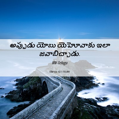 Picture 06 - యోబు 42:1 TELIRV - అప్పుడు యోబు - Bible Verse Picture