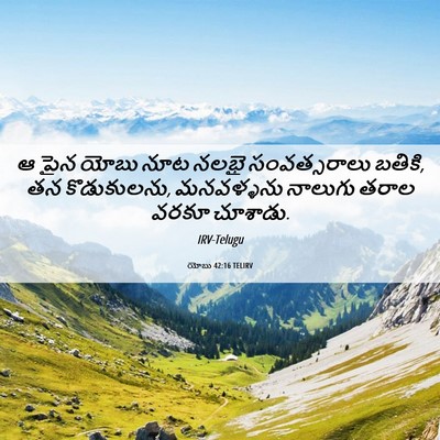 Picture 06 - యోబు 42:16 TELIRV - ఆ పైన యోబు నూట నలభై - Bible Verse Picture