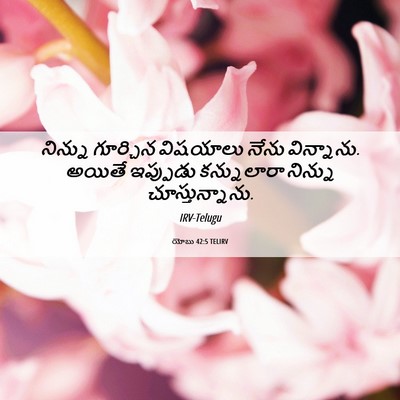 Picture 06 - యోబు 42:5 TELIRV - నిన్ను గూర్చిన - Bible Verse Picture