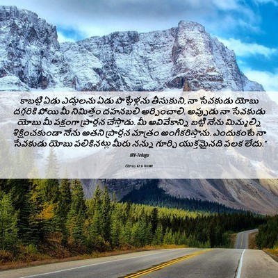 Picture 06 - యోబు 42:8 TELIRV - కాబట్టి ఏడు - Bible Verse Picture