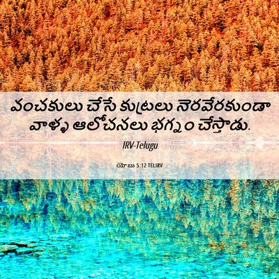 Picture 06 - యోబు 5:12 TELIRV - వంచకులు చేసే - Bible Verse Picture