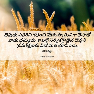 Picture 06 - యోబు 5:17 TELIRV - దేవుడు ఎవరిని - Bible Verse Picture