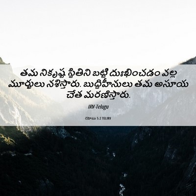 Picture 06 - యోబు 5:2 TELIRV - తమ నికృష్ట - Bible Verse Picture