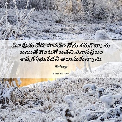 Picture 06 - యోబు 5:3 TELIRV - మూర్ఖుడు వేరు - Bible Verse Picture