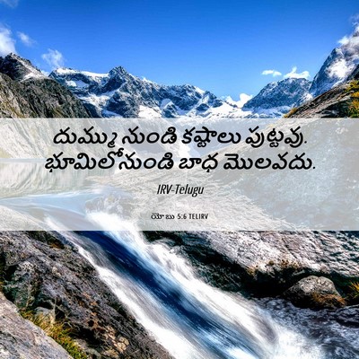 Picture 06 - యోబు 5:6 TELIRV - దుమ్ము నుండి - Bible Verse Picture