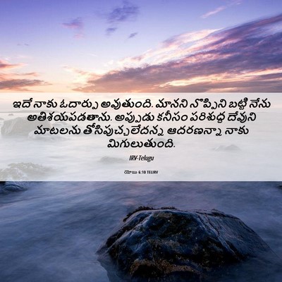 Picture 06 - యోబు 6:10 TELIRV - ఇదే నాకు ఓదార్పు - Bible Verse Picture