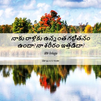 Picture 06 - యోబు 6:12 TELIRV - నాకు రాళ్లకు - Bible Verse Picture