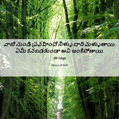 Picture 06 - యోబు 6:18 TELIRV - వాటి నుండి - Bible Verse Picture