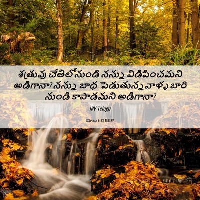 Picture 06 - యోబు 6:23 TELIRV - శత్రువు - Bible Verse Picture