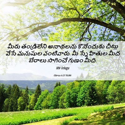 Picture 06 - యోబు 6:27 TELIRV - మీరు తండ్రిలేని - Bible Verse Picture