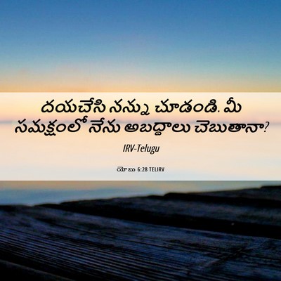 Picture 06 - యోబు 6:28 TELIRV - దయచేసి నన్ను - Bible Verse Picture