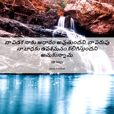 Picture 06 - యోబు 7:13 TELIRV - నా పడక నాకు ఆధారం - Bible Verse Picture