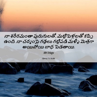 Picture 06 - యోబు 7:5 TELIRV - నా శరీరమంతా - Bible Verse Picture