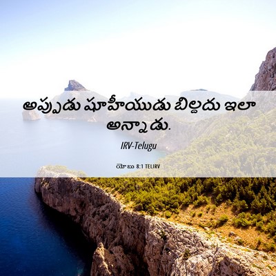 Picture 06 - యోబు 8:1 TELIRV - అప్పుడు షూహీయుడు - Bible Verse Picture
