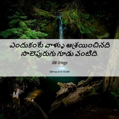 Picture 06 - యోబు 8:14 TELIRV - ఎందుకంటే వాళ్ళు - Bible Verse Picture
