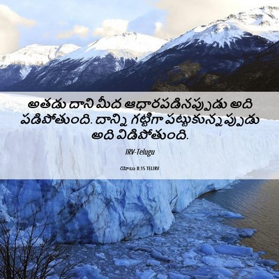 Picture 06 - యోబు 8:15 TELIRV - అతడు దాని మీద - Bible Verse Picture