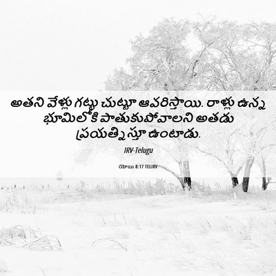 Picture 06 - యోబు 8:17 TELIRV - అతని వేళ్లు గట్టు - Bible Verse Picture