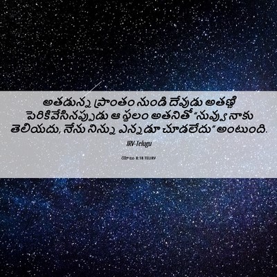 Picture 06 - యోబు 8:18 TELIRV - అతడున్న ప్రాంతం - Bible Verse Picture
