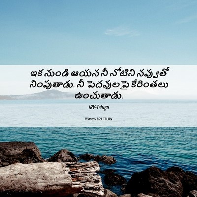 Picture 06 - యోబు 8:21 TELIRV - ఇక నుండి ఆయన నీ - Bible Verse Picture