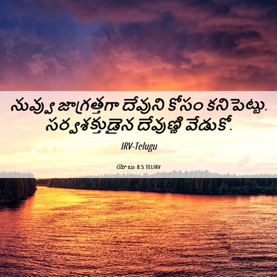 Picture 06 - యోబు 8:5 TELIRV - నువ్వు జాగ్రత్తగా - Bible Verse Picture