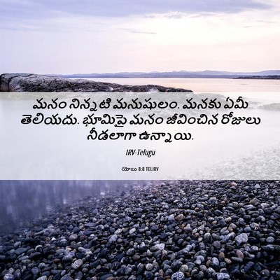 Picture 06 - యోబు 8:8 TELIRV - మనం నిన్నటి - Bible Verse Picture