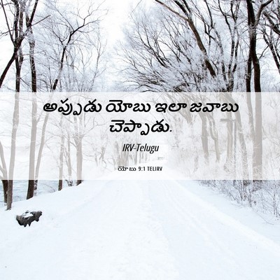 Picture 06 - యోబు 9:1 TELIRV - అప్పుడు యోబు ఇలా - Bible Verse Picture