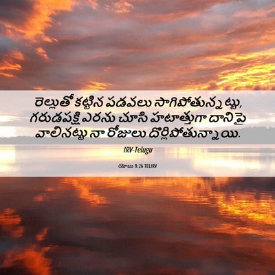 Picture 06 - యోబు 9:26 TELIRV - రెల్లుతో కట్టిన - Bible Verse Picture