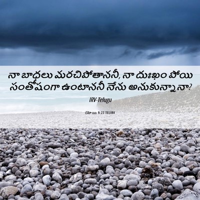Picture 06 - యోబు 9:27 TELIRV - నా బాధలు - Bible Verse Picture